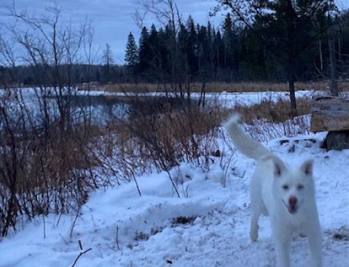 Welcome to Inverness Falls Resort in the beautiful Whiteshell Provincial Park