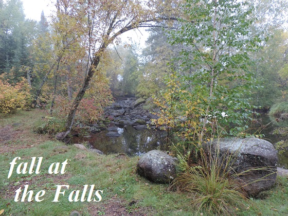 fall at the Falls