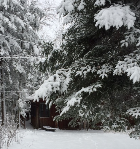 Chalet tucked in the trees