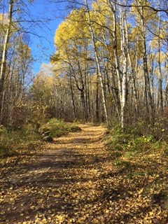 Fall afternoon on the new Trans Canada Trail to Cabin Lake