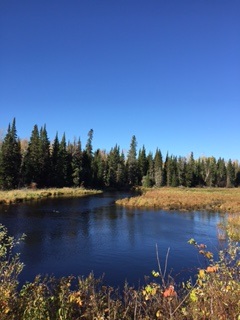 Rennie River Crossing