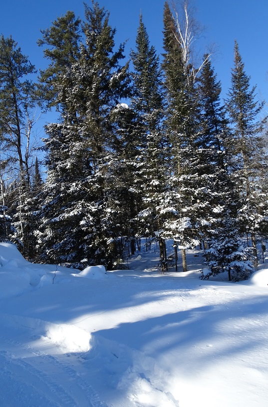 Groomed ski trails