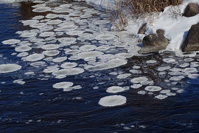 DSC06048 Ice circles formed by flowing water