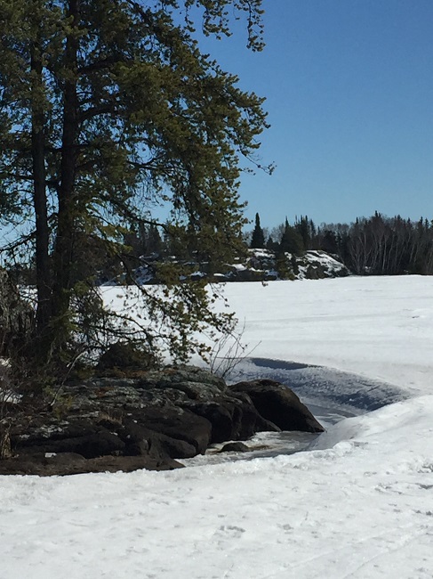 IMG 3798.JPG signs of spring ice melting away from the rocks