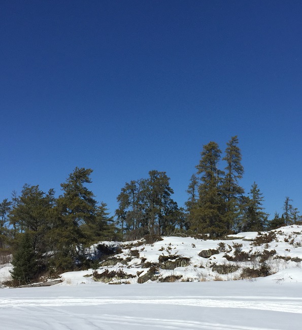 Snow and blue ski