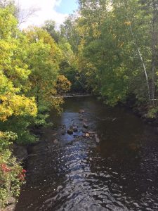 Colour at the Falls