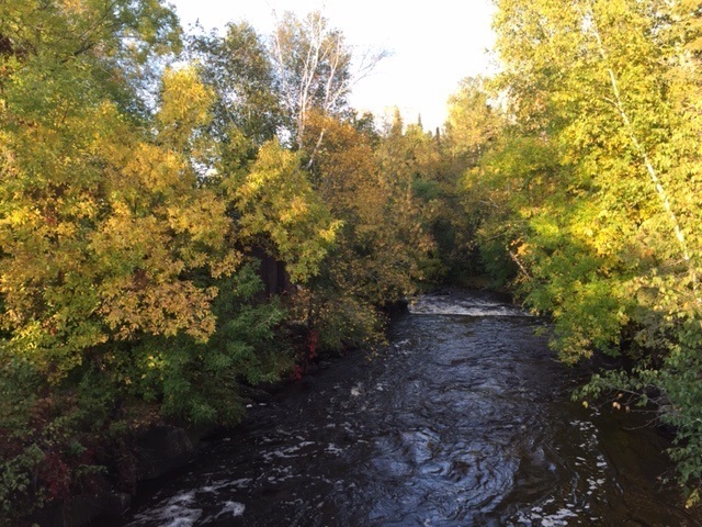 Shot of the falls