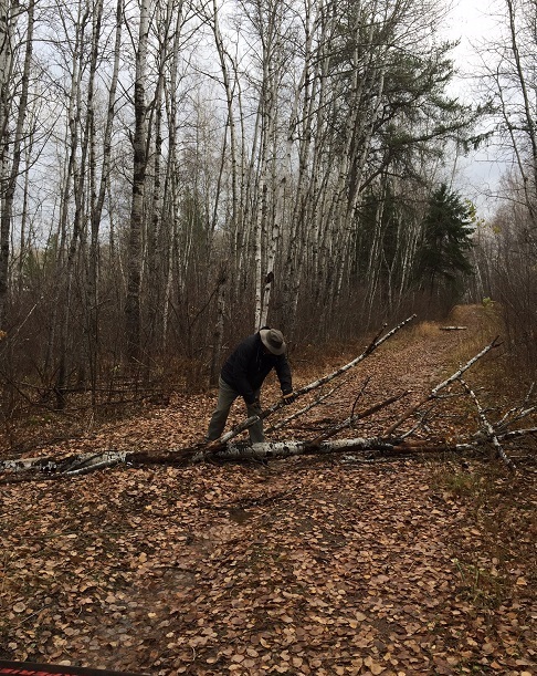 Stu clearing trail