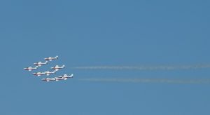 DSC00725 Snowbirds 2 2