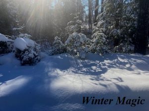 Winter Magic