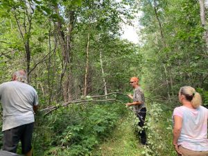 Aug 18th clearing bush