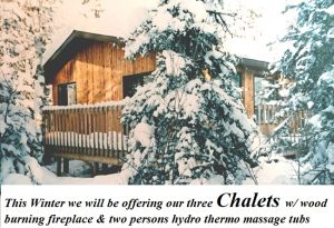 Chalets this winter