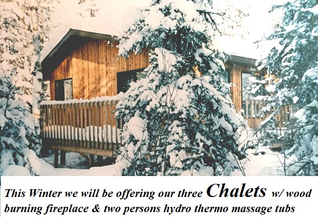 Chalets this winter