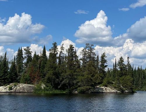 Seniors Special Packages