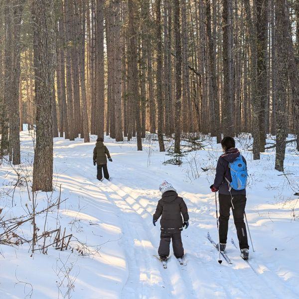 An adult and two children cross-country skiing the Inverness Trails, which are hikable during warm seasons and transform into ski trails in the winter.