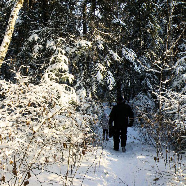 An adult and child snowshoeing on one of the trails on Inverness Falls Resort grounds, highlighting that family fun can be made year-round.