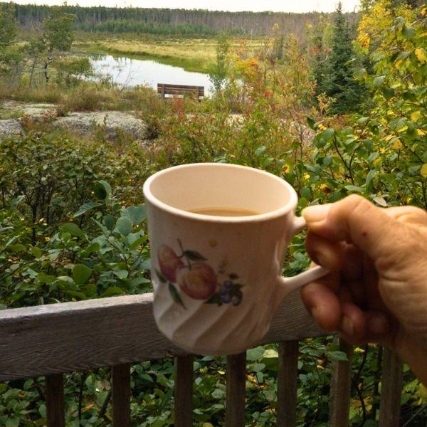 A person holding a coffee cup with a background of trees and the creek.