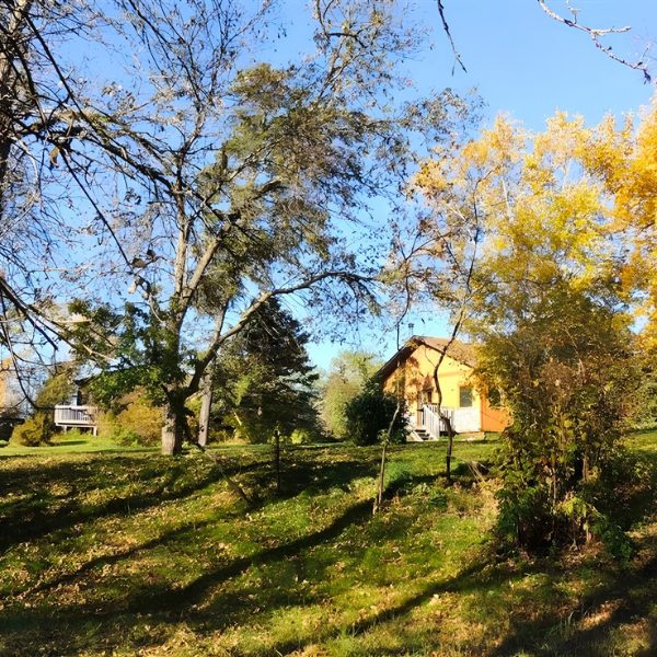 Image of a cabin at Inverness Falls Resort, showcasing the large open space of the yard, perfect for large groups and multi-unit bookings.