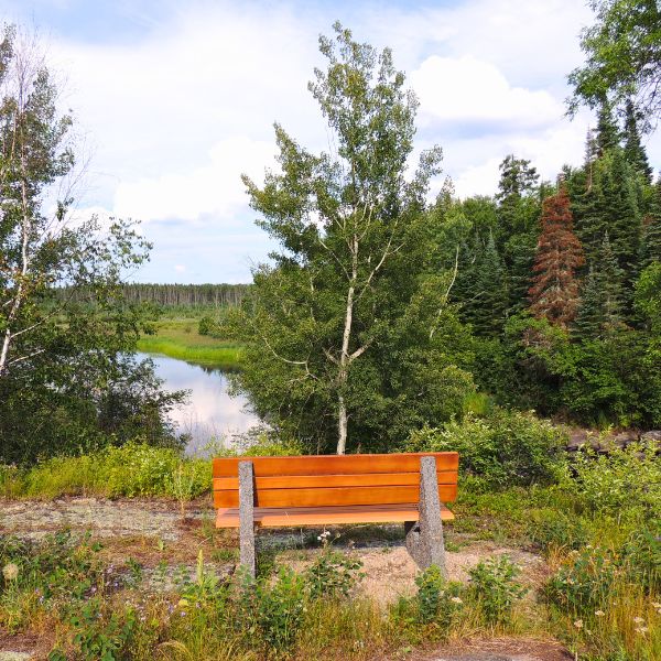 Bench overlooking the creek that runs along the Resort.