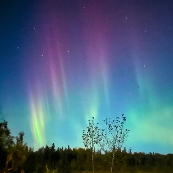Northern Lights high above the trees, showcasing the magical moments couples can enjoy with Inverness Falls Resort's honeymoon packages.