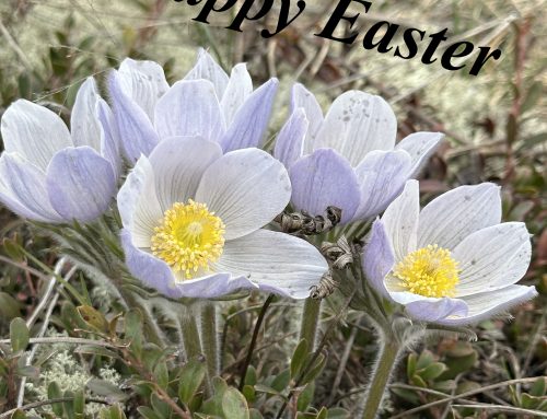 COUPLES EASTER WEEKEND