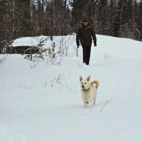 A man walking with his dog during winter.