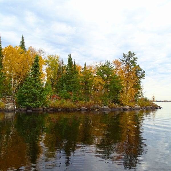 A fall scene along the water with bright coloured leaves.