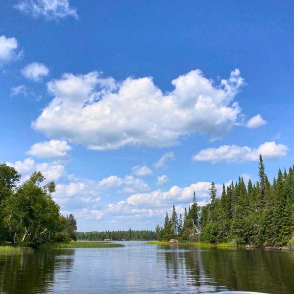 The Rennie River with green trees on the shoreline.