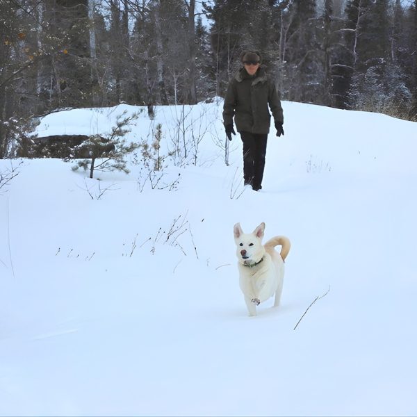 Image of a white dog running through the snow followed by his owner, at Inverness Falls Resort, a pet-friendly resort in Whiteshell Provincial Park.
