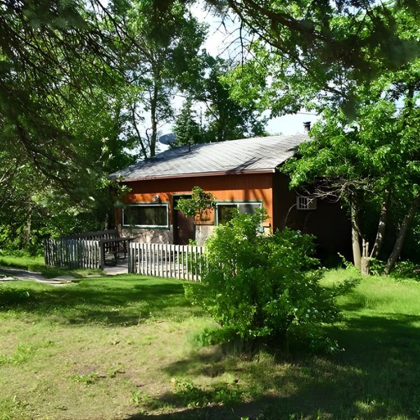 Exterior of Cabin 6 among the trees.