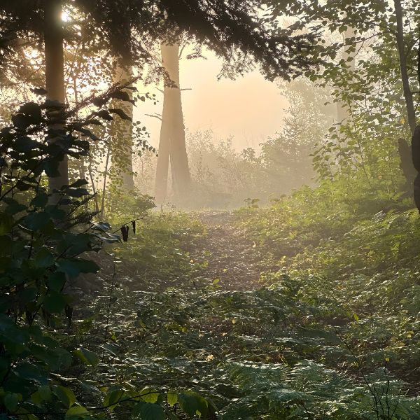 One of the trails located at Inverness Falls Resort.