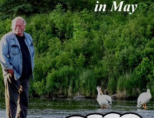 Seniors Savings in May