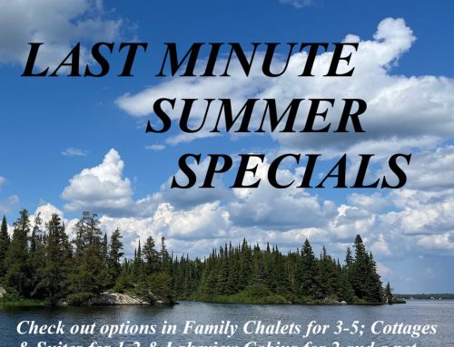 WEB SPECIALS