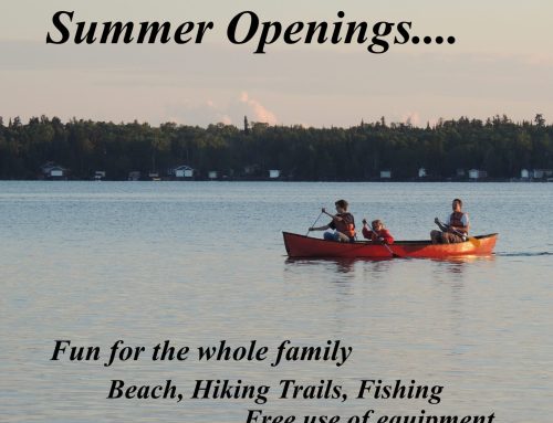 Summer Openings