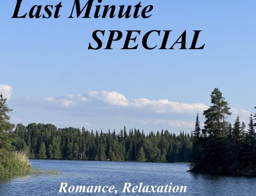 LAST MINUTE SAVINGS the 1st Week in August – for 1-2 persons