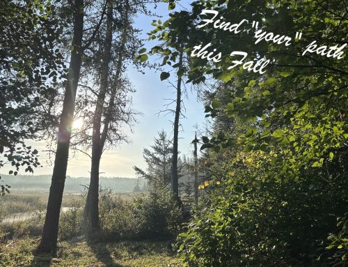 FALL SOLO GET-AWAY…. September & October
