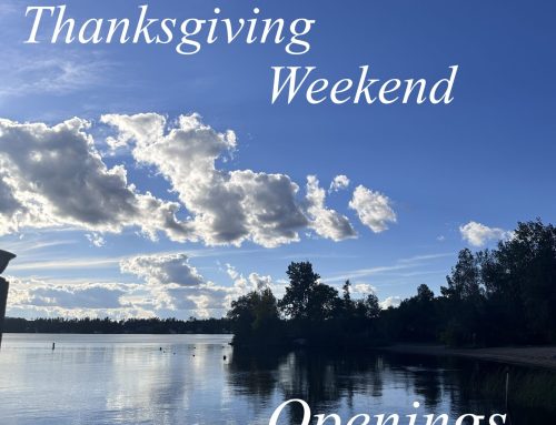 Thanksgiving Weekend Openings