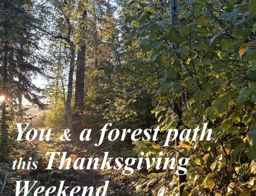 Thanksgiving Weekend Specials for 1-2 persons